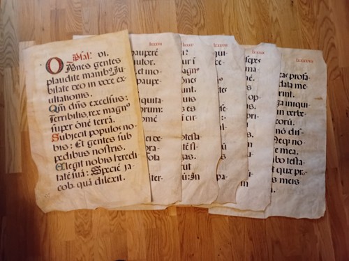 Konvolut blatt pergament - konvolut, 6