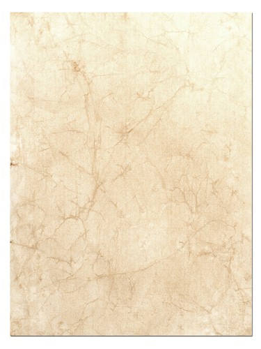 Pergament blatt echte tierhaut - blatt,