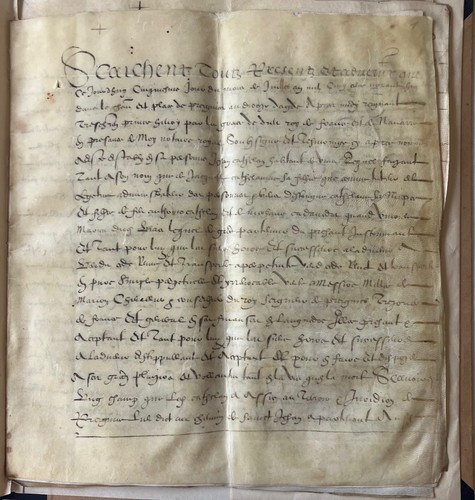 1598 notariats urkunde - 1598, notariats-urkunde