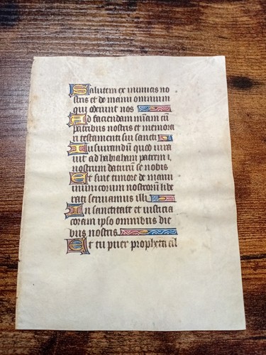 Orig vellum leaf books - orig,
