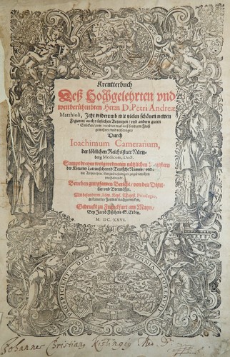 Botanik kräuter buch - krÄuter,