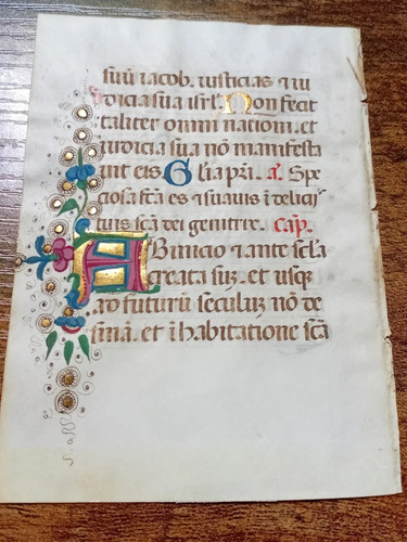 Vellum leaf books hours - leaf,