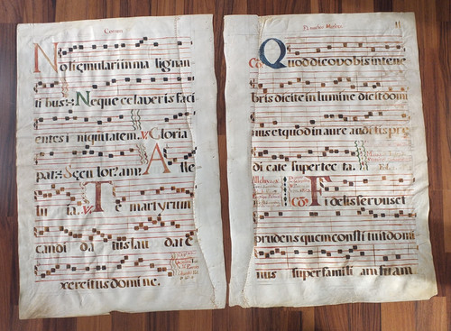 Buch barock pergament - buch,