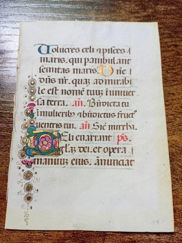 Vellum leaf books hours - vellum,