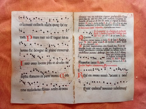 Orig psalter manuskript - orig,