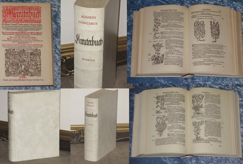 Kräuterbuch adamus lonicerus - krÄuterbuch,
