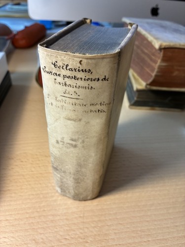 Cellarius curae posteriores - cellarius,,