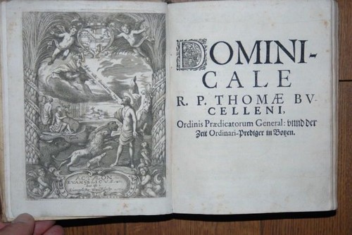 Bucellenus actaeon - bucellenus:,