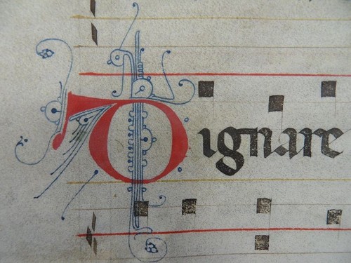 Große pergament handschrift - große,